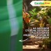 Удобрение для рододендронов, азалий и гортензий 0,5л. GardenGro