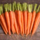 Морковь и свекла